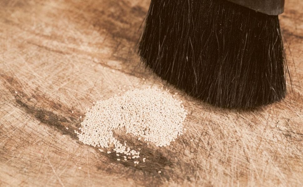 termite droppings being swept up by dark colored broom bristles