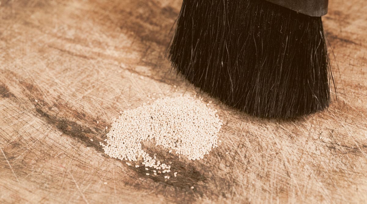 Termite Droppings How To Spot Termite Poop vs. Saw Dust In Your House