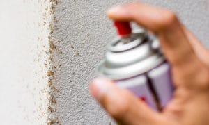 A hand spraying some insecticide onto a line of ants on a wall