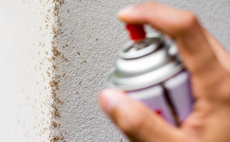 A hand spraying some insecticide onto a line of ants on a wall
