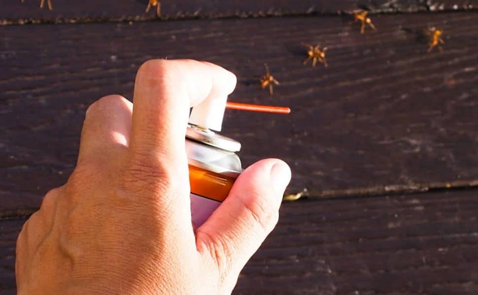 A hand using ant spray on some red ants on a wall