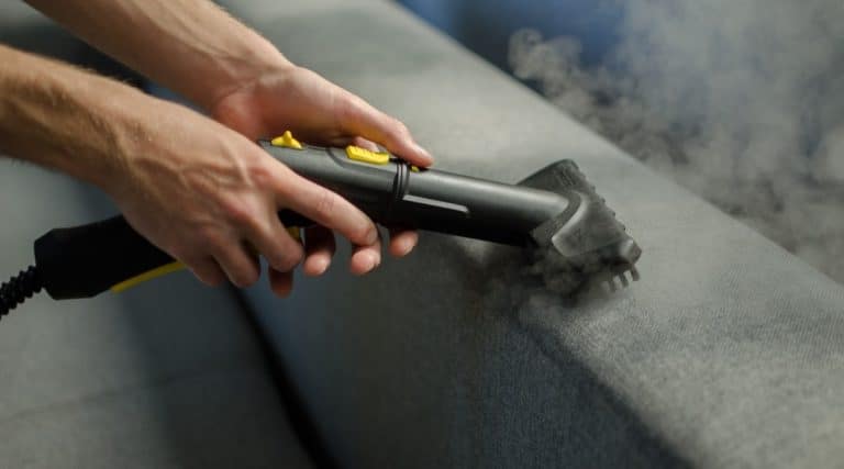 Does Heat Kill Fleas And Flea Eggs In Your Home 