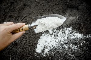 Does Baking Soda Kill Ants? Yes! And Here is How to Use it