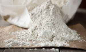 A pile of diatomaceous earth spilling out of a white bag