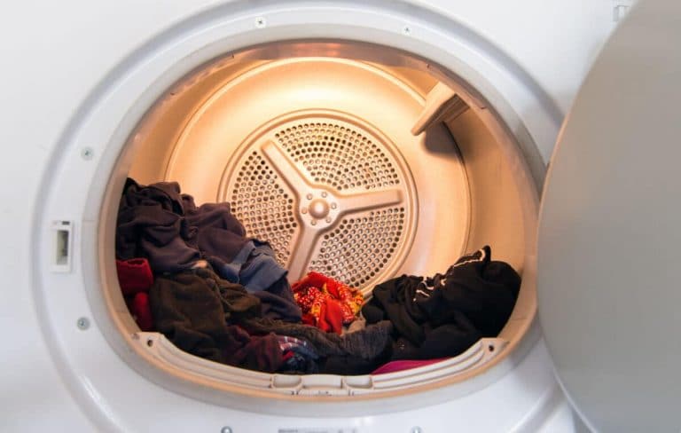 Does The Dryer Kill Fleas How To Launder Items With Fleas
