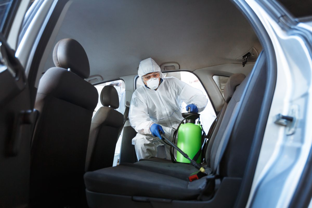 pest control service spraing inside back seat of a car