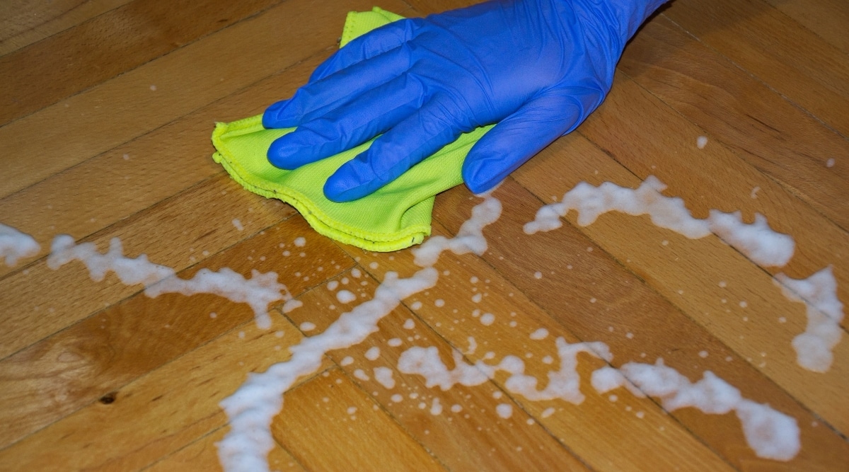 Fleas On Hardwood Floors, Does Salt Kill Fleas On Hardwood Floors